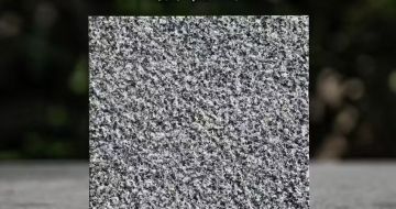 黄山 芝麻黑荔枝面