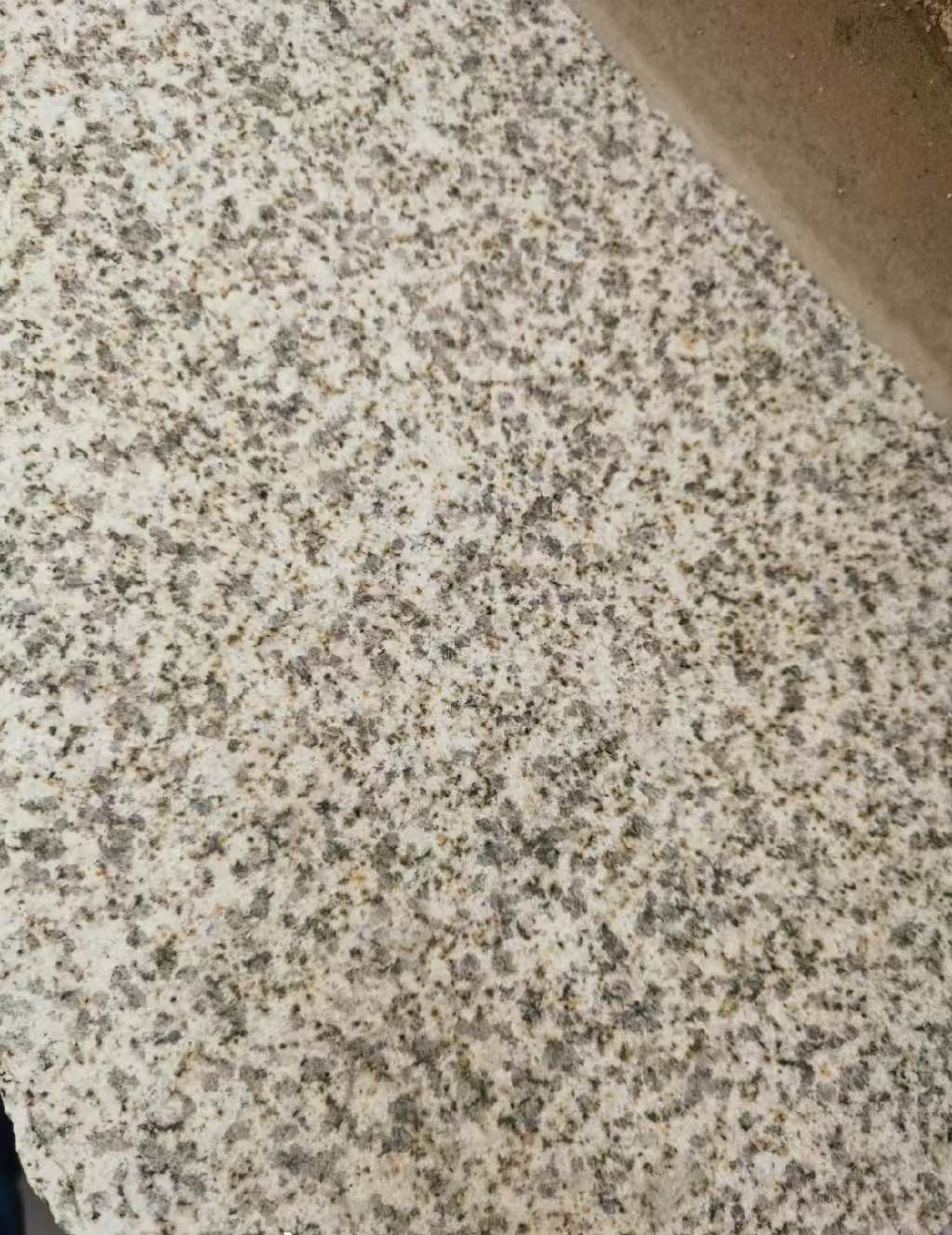 黄山 黄金麻中黄光面